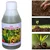 ROM 1 liter Azospirillum Liquid Bio Fertilizer | Nitrogen Fixing Bacterium
